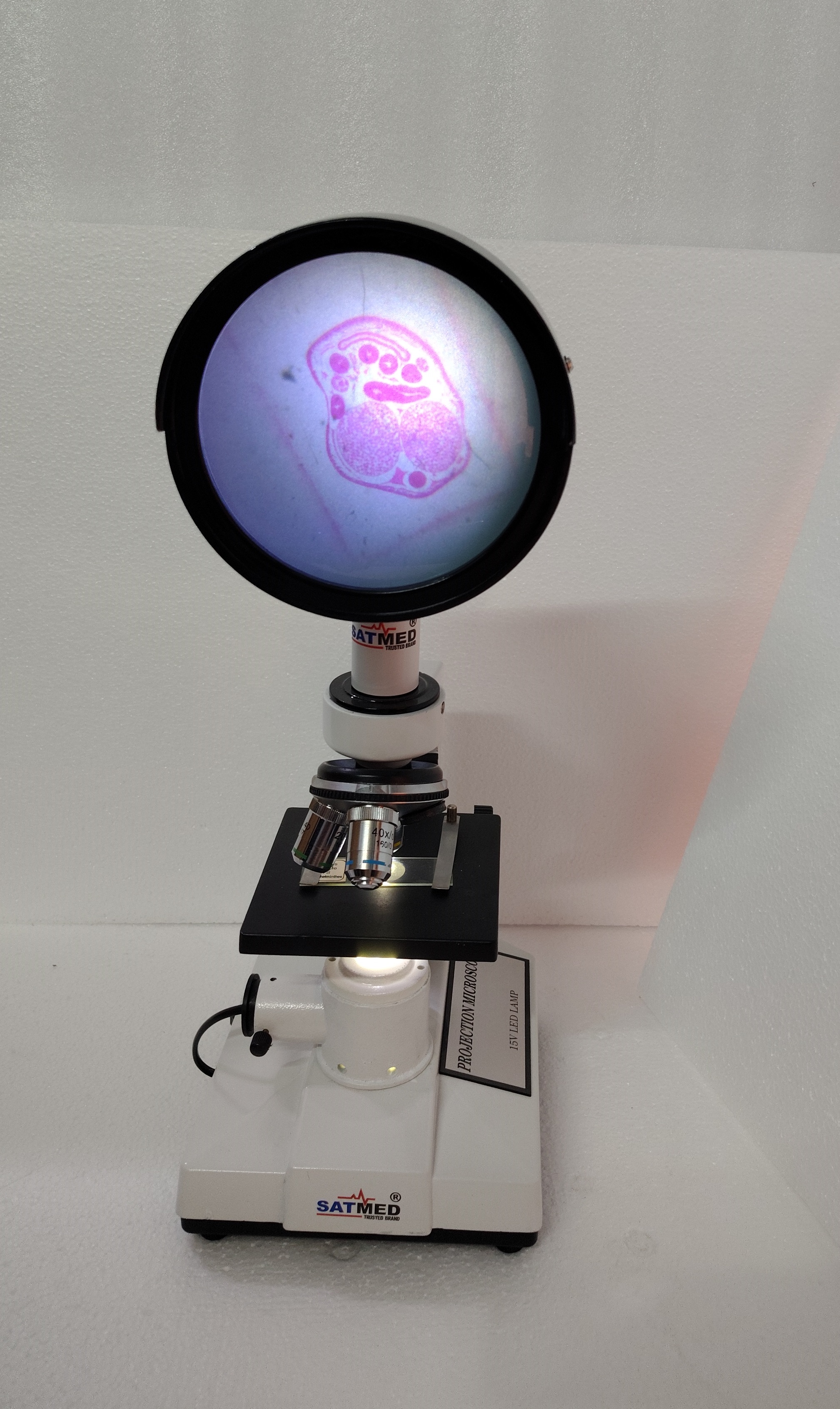 Projection Microscope