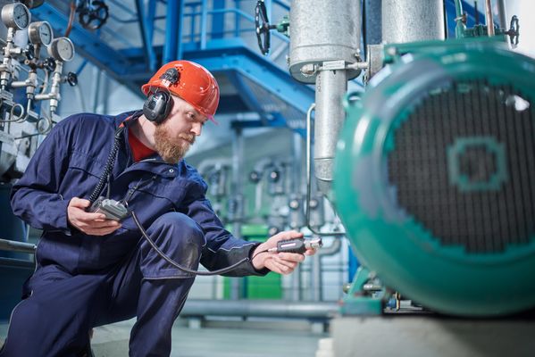 Service- Bearing Condition Assesment & Lubrication Management