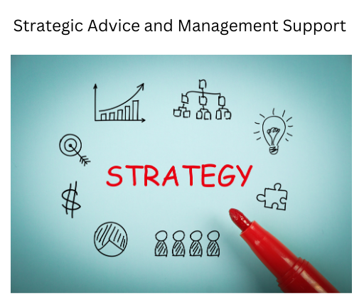 Strategic Advice and Management Support Services