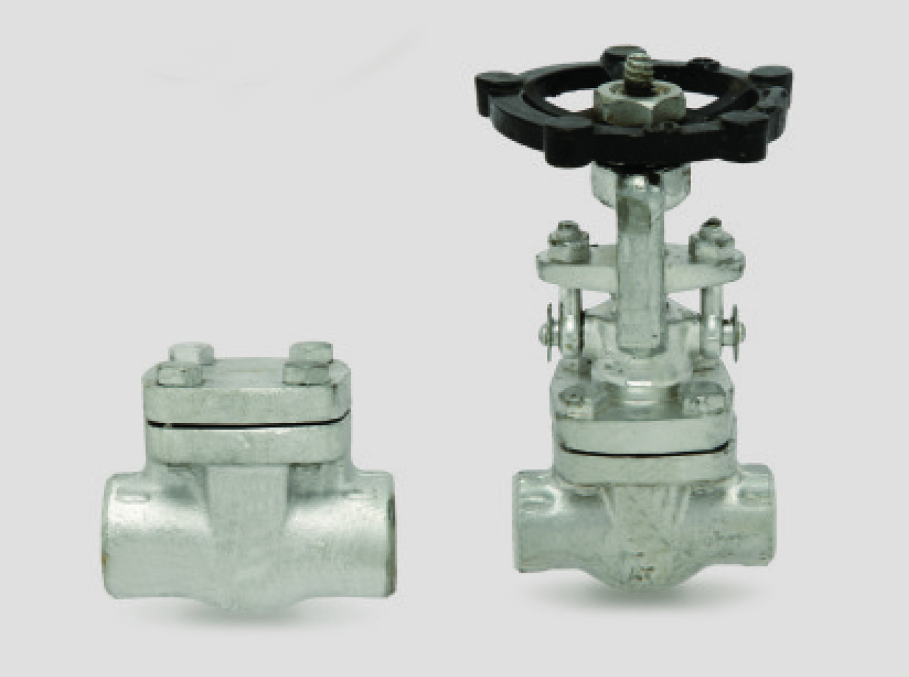 Forged Valve
