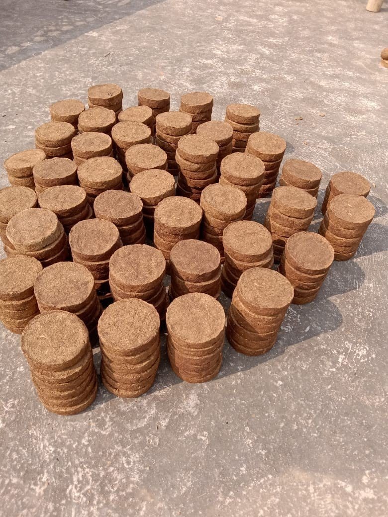 Cow dung cake