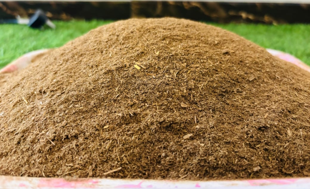 Cow dung powder