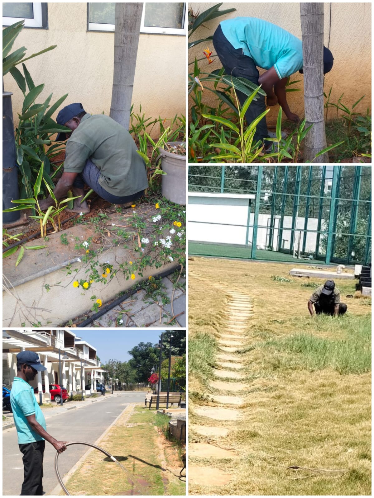Gardening and Landscaping Services
