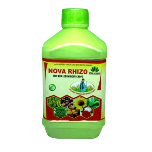 Nova Rhizo
