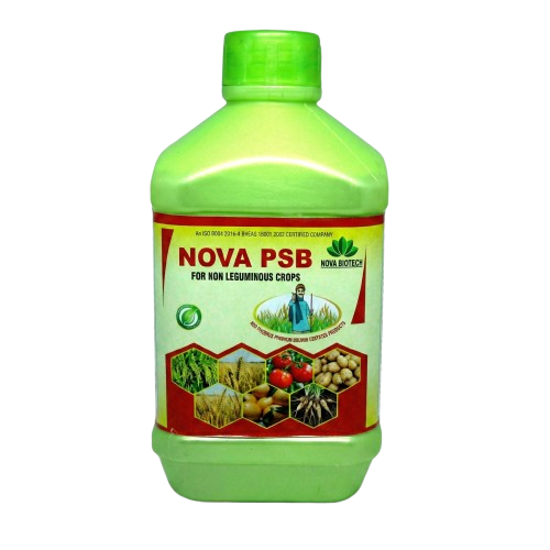 Nova PSB
