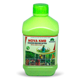 Nova KMB