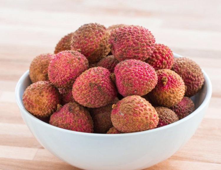 Litchi Plant