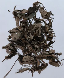 Dried Chaste Tree leaves