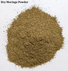 Moringa powder