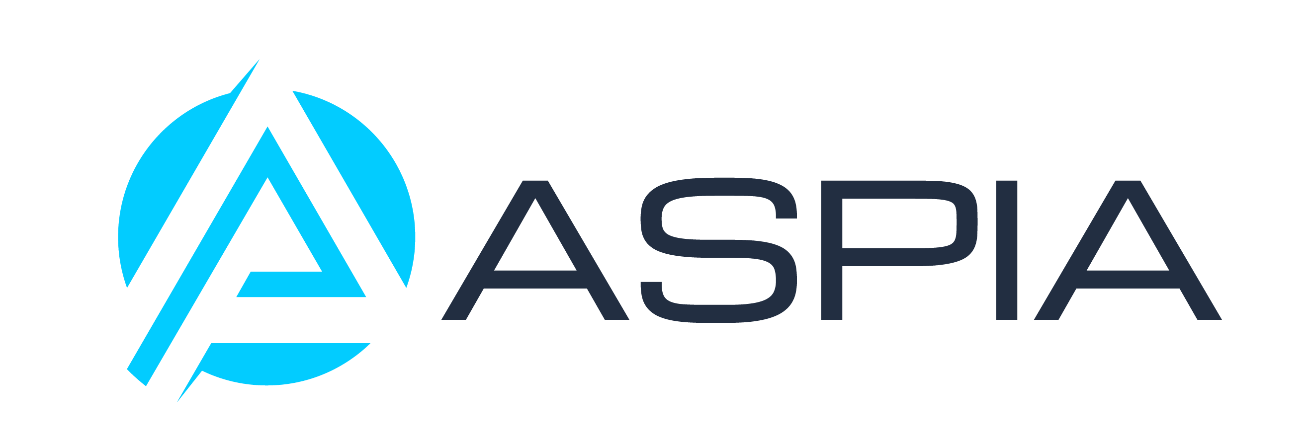 Aspia Vulnerability Management