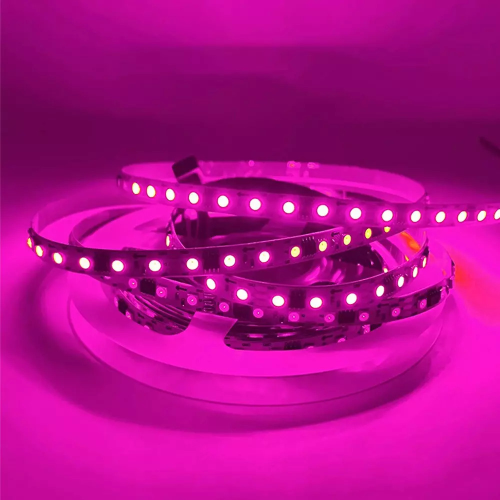 2835 240 LED STRIP
