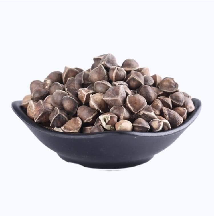 Moringa Seeds PKM1/PKM 2 For Plantation, Seed Oil Extraction, Good Germination & Power house of Anti Oxidants