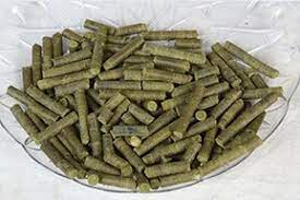Moringa Animal Feed -Nutrient Packed in a Pellets form. Increases lactation , Digestion , Immunities for Cattles and Polutry.