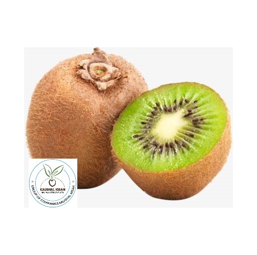 Kiwi Fruit Plant