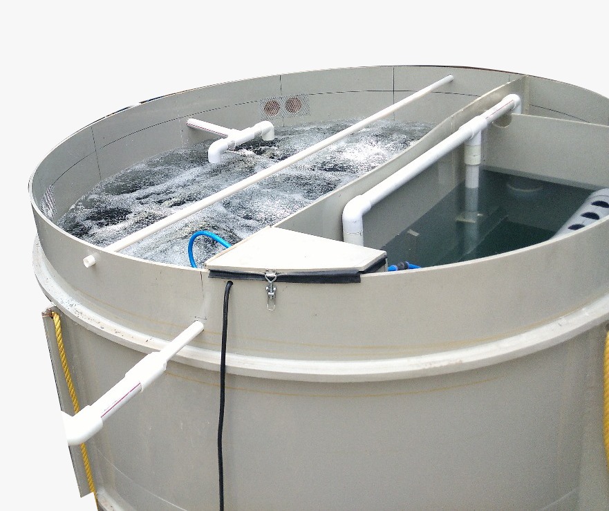 Sewage Treatment Plant (STP)  1 - 3 KLD
