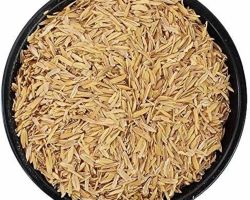 Rice Husk