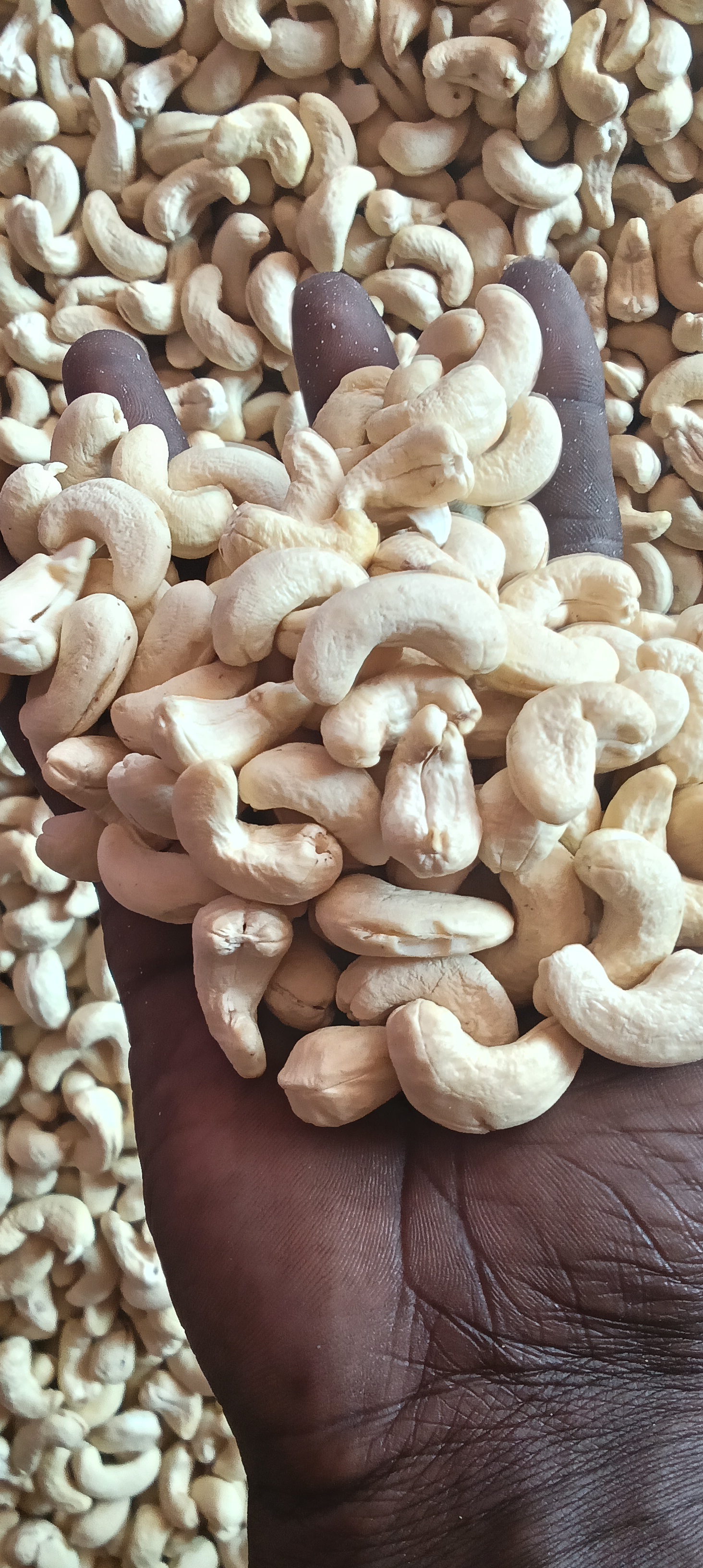 Wholes Cashew 