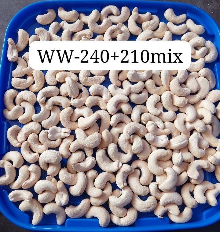 W 240+ 210 MIX- CASHEWS