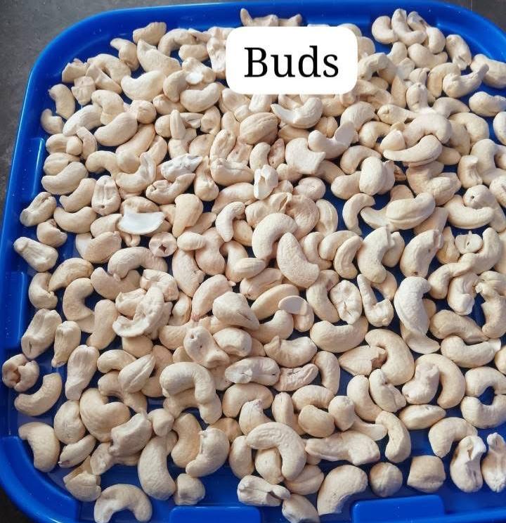 FULL CASHEWS -BUDS