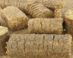 Rice Husk Briquette