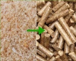 Sawdust Pellet