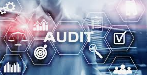 Auditing and Assurance services