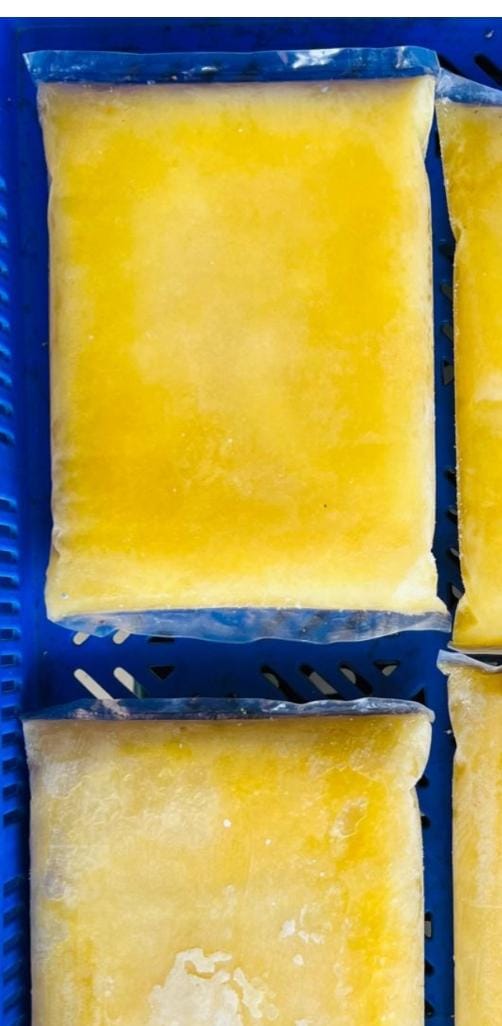 AM Jackfruit Pulp 