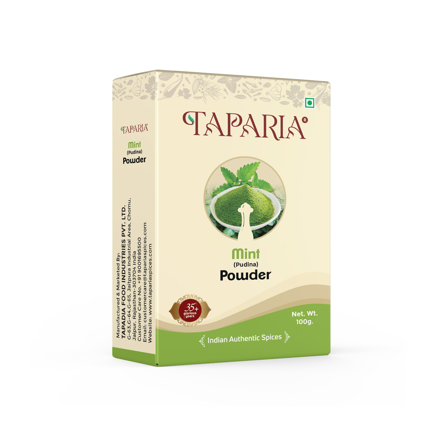 100g Taparia Mint Powder