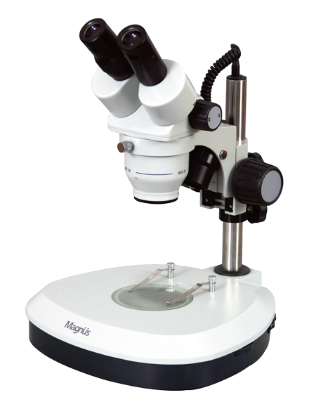 STEREO MICROSCOPES - MS SERIES
