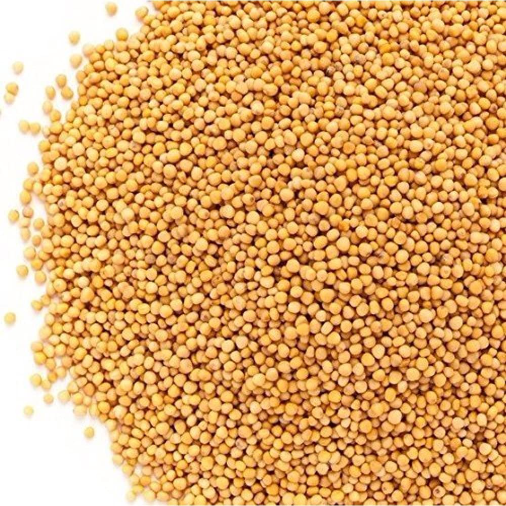 Yellow Mustard Seed Bold
