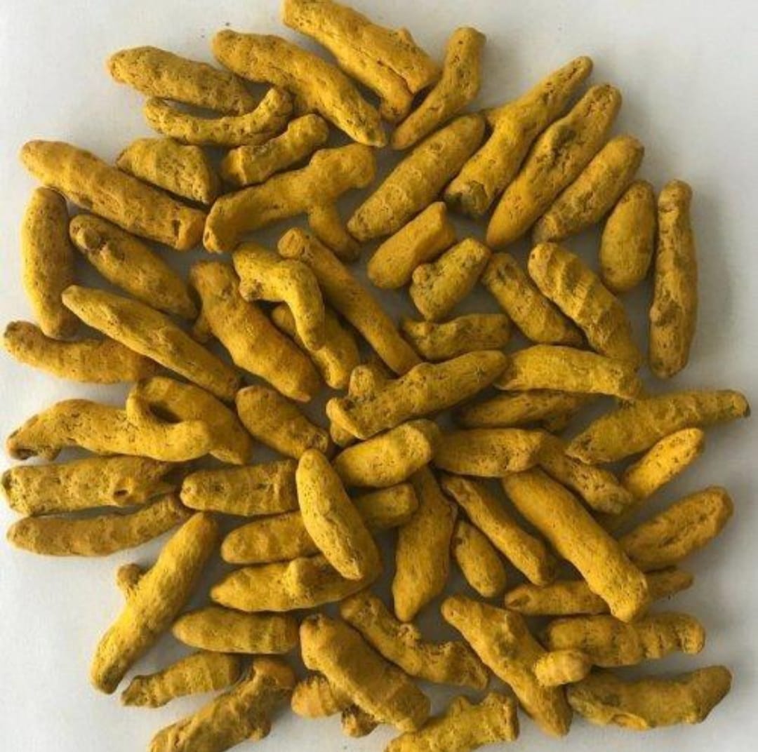  Dried Turmeric Fingers