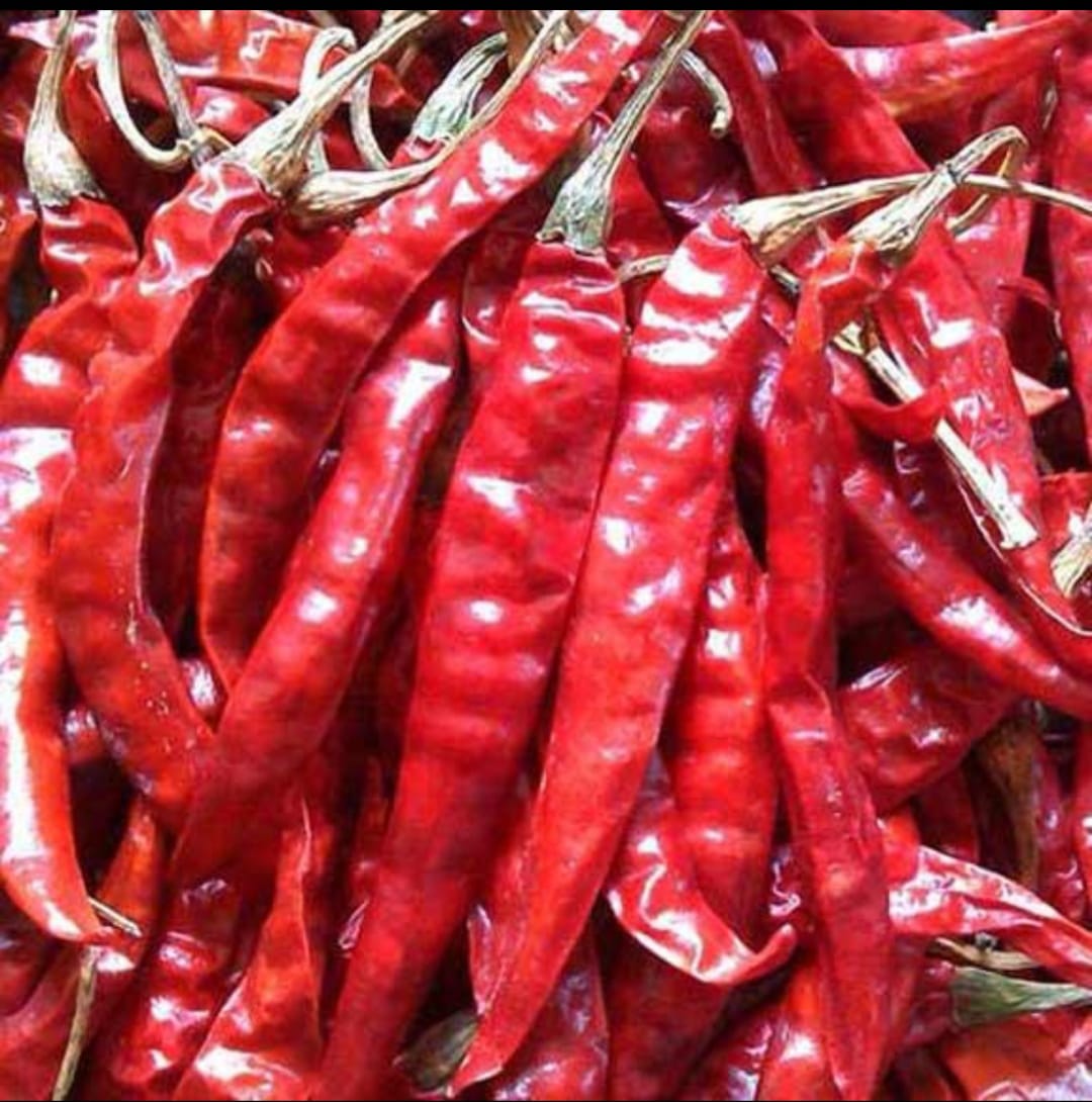 Dried Red Chilli / Whole Dry Red Chilli