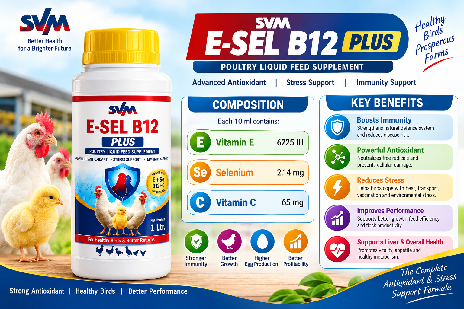 E SEL-B12