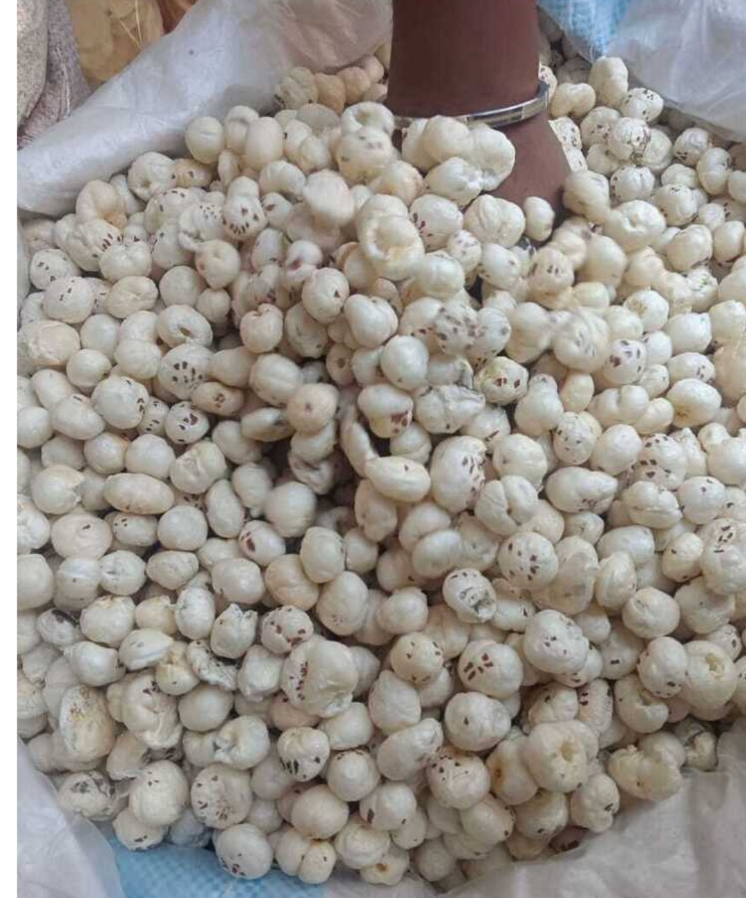 FOXNUT RAW