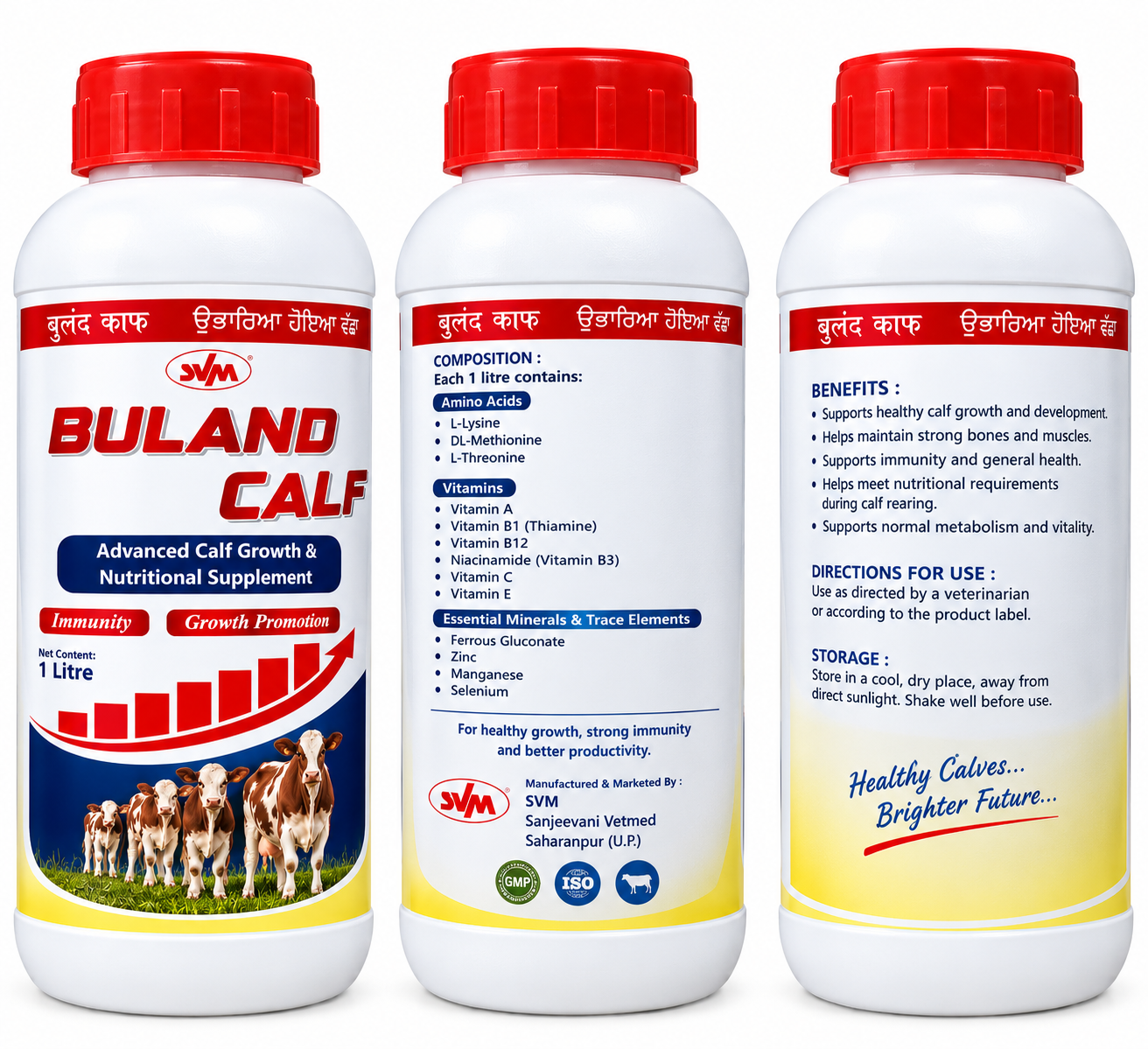 BULAND CALF