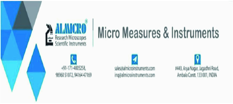 catalog