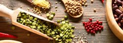 ayurvedic and herbal products
