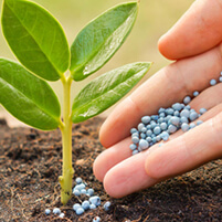 fertilizer