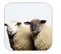 animal health products