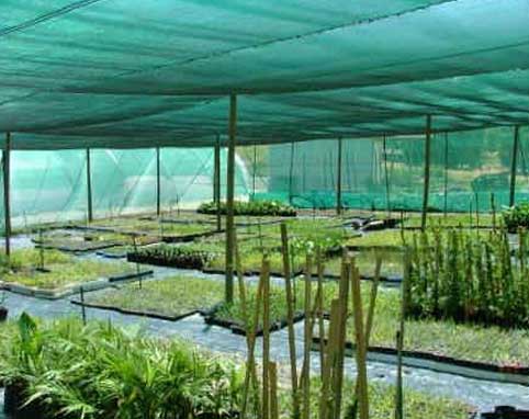 bamboo and rattan products