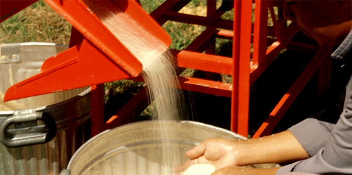food processing plants machinery and equipment