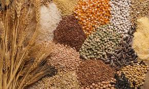 grain