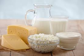 milk and dairy products