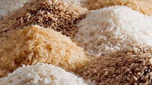 rice