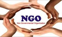 non government organizations