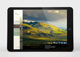monitors