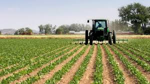 agricultural and farm development consultancy services