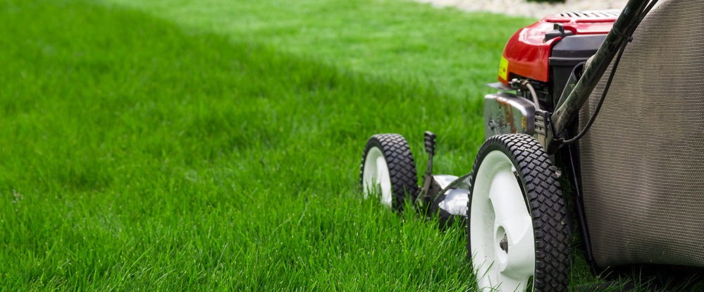 lawn mowers and landscape designers