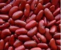 bean products