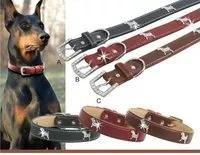 pet and pet products
